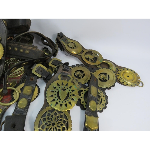 739 - Large selection of antique and vintage horse brasses and leathers/martingales etc.