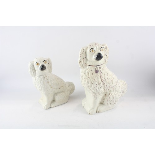 249 - Porcelain Spaniel Dogs Pair Ornaments       574459