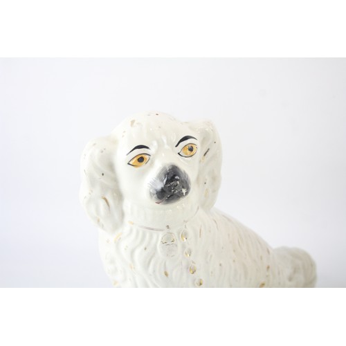 249 - Porcelain Spaniel Dogs Pair Ornaments       574459