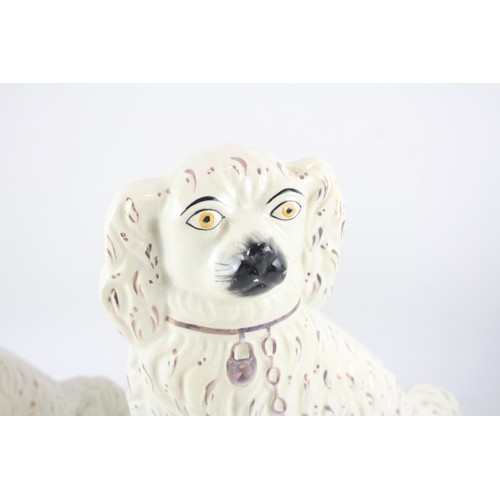 249 - Porcelain Spaniel Dogs Pair Ornaments       574459