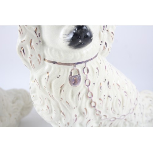 249 - Porcelain Spaniel Dogs Pair Ornaments       574459