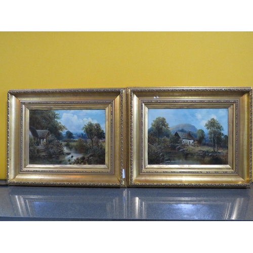 394 - Two Antique ornate framed oil on canvas paintings of country cottages signed J Davies. Frame 21 by 1... 