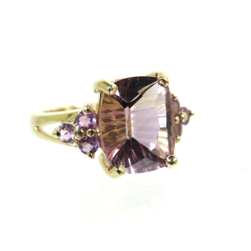 194 - 9ct Yellow Gold Ring set with a large Amethyst (13 x 10mm)with smaller Amethysts to shoulders.  'L' ... 