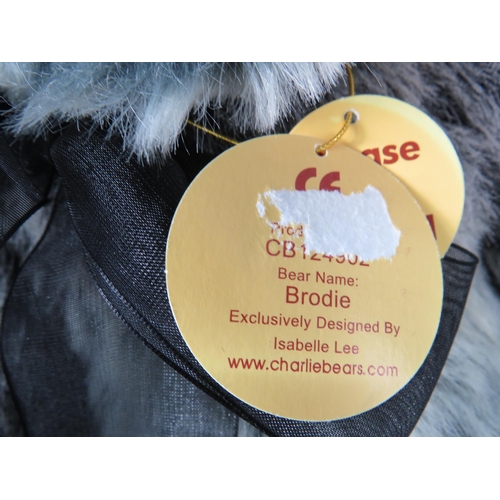 90 - Charlie bear Brodie CB124902, 15.5