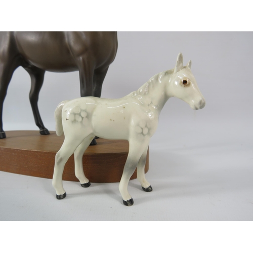 151 - Beswick Connoisseur model Arab Xayal plus a grey foal.