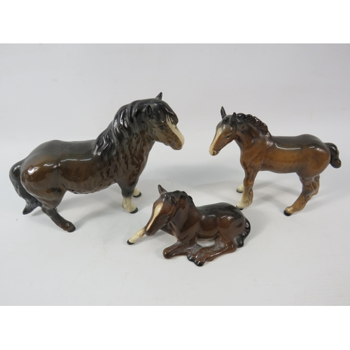 67a - Beswick Shetland pony plus two Beswick foals.