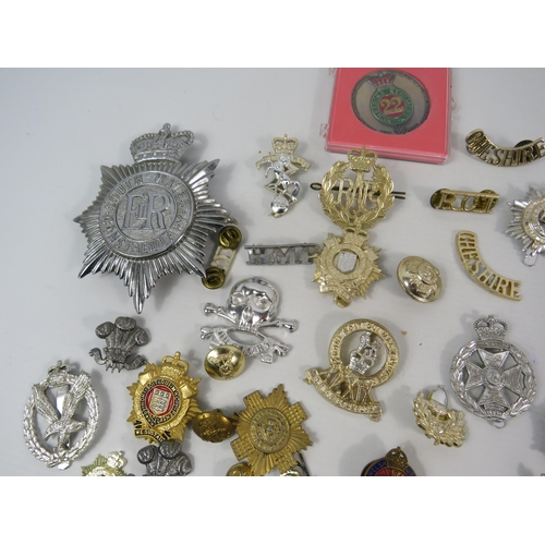 133 - Large selection of mainly reproduction military cap badges plus some enamel pin badges.