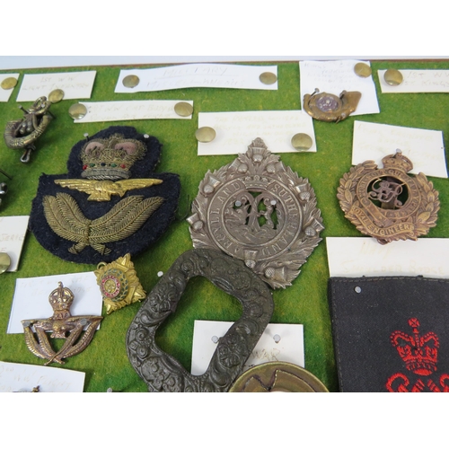 356 - Large selection of Military related cap badges, buttons, metal dectecting finds etc.