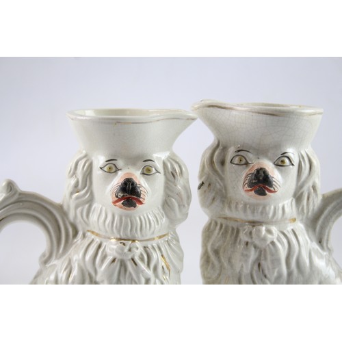 446 - Pair of Staffordshire Style Spaniel Dog Jugs 574848