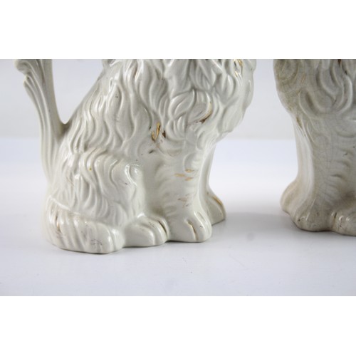 446 - Pair of Staffordshire Style Spaniel Dog Jugs 574848