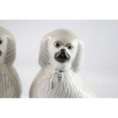 466 - Pair Of Porcelain Staffordshire Spaniels x 2 575113