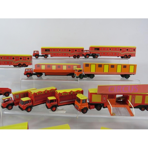 1085 - Large selection of Oxford diecast Bartellos circus vehicles, animal trailers etc.