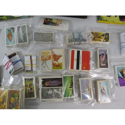 646 - Cigarette cards loose and in albums plus a part filled vintage cigarette pictures album.