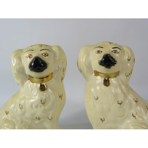 686 - Pair of Beswick Staffordshire spaniels Model no 1378-5, 8