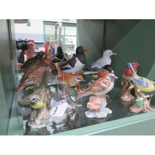 796 - Sixteen Ceramic model bird figurines, some with wooden plinths  see photos.