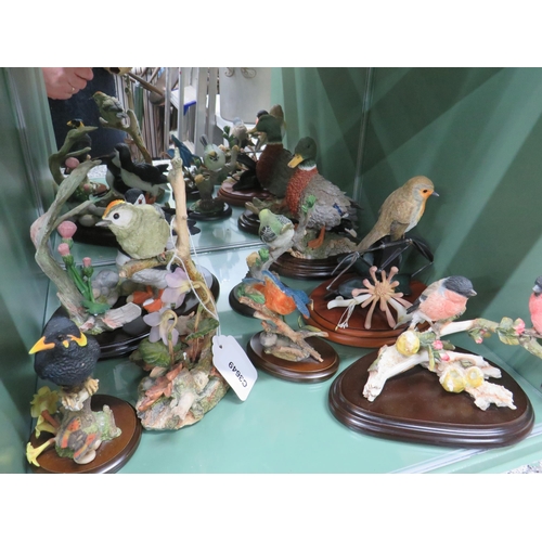 796 - Sixteen Ceramic model bird figurines, some with wooden plinths  see photos.