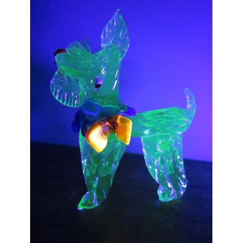 12 - Large Murano Uranium glass Scotty Dog, 11.5