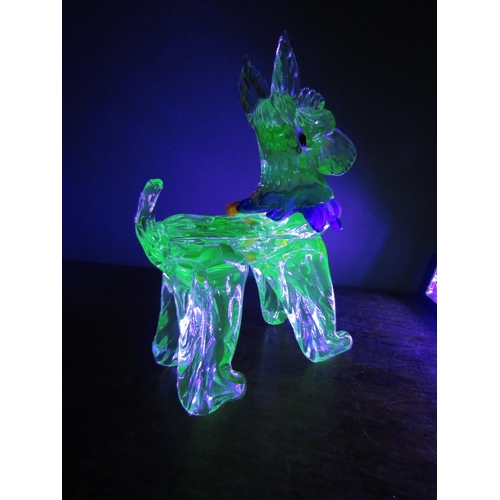 12 - Large Murano Uranium glass Scotty Dog, 11.5