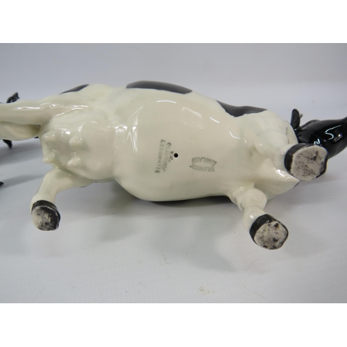 18 - Beswick Friesian Cow figurines Champion Coddington Hilt Bar, Claybury Leegwater and calf.