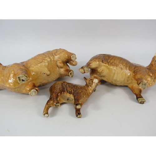 20 - Beswick Highland Cattle Bull, Cow and Calf. ( the cow has had a repair to one horn see pics)