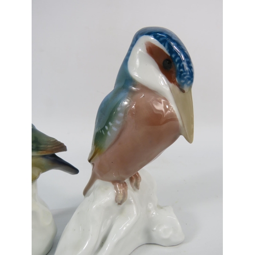 23 - Two Meissen King fisher figurines by Paul Walther, the tallest measures 5.5