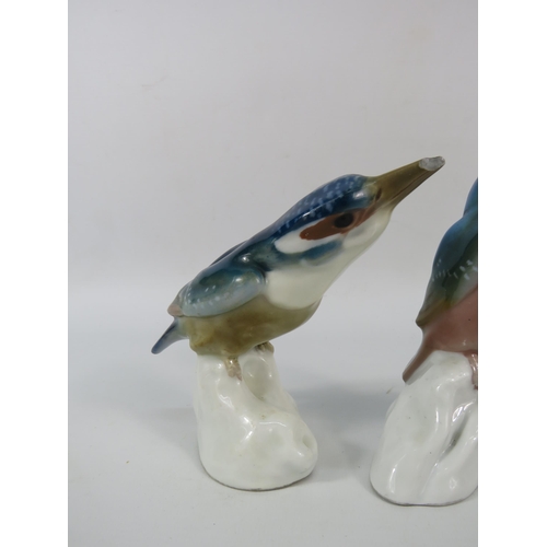 23 - Two Meissen King fisher figurines by Paul Walther, the tallest measures 5.5