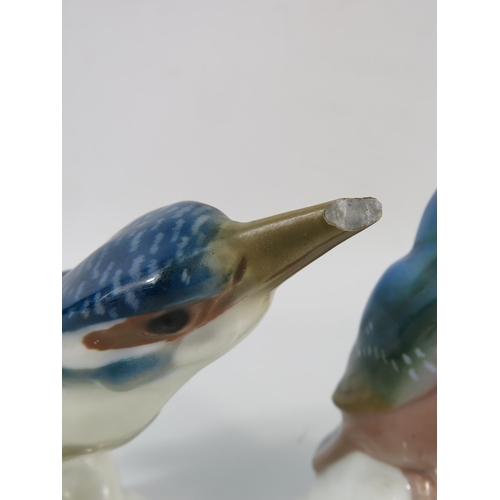 23 - Two Meissen King fisher figurines by Paul Walther, the tallest measures 5.5