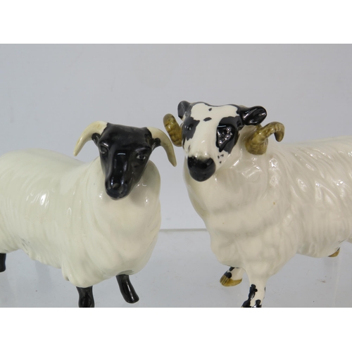 34 - Four Beswick sheep figurines Ram, Ewe and two lambs.