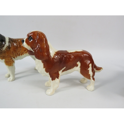 64 - Three Beswick Dog figurines, St Bernard, Cavalier King Charles and Bassett Hound, the tallest stands... 