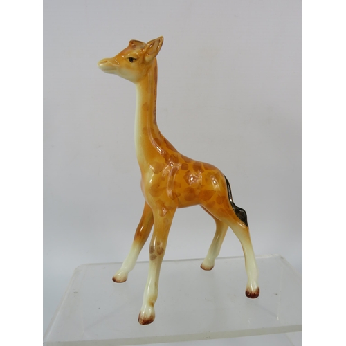 113 - Three Beswick figurines, Large Kingfisher, Hereford calf and Giraffe calf.