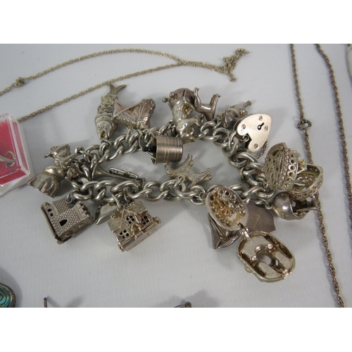 117 - Sterling silver jewellery lot to include a charm bracelet with 22 charms, Total silver weight 130 gr... 