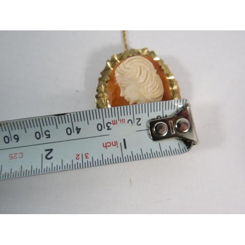 189 - Cameo brooch with 9ct gold surround and safety chain, total weight 6.2 grams. 38mm by 32mm.