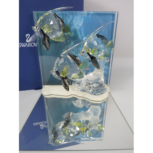 236 - Swarovski crystal Wonders of the Sea - Community Angel fish plaque with stand, box and cert. No 8546... 