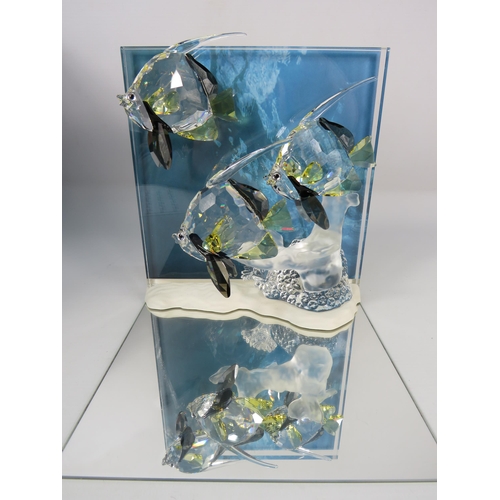 236 - Swarovski crystal Wonders of the Sea - Community Angel fish plaque with stand, box and cert. No 8546... 