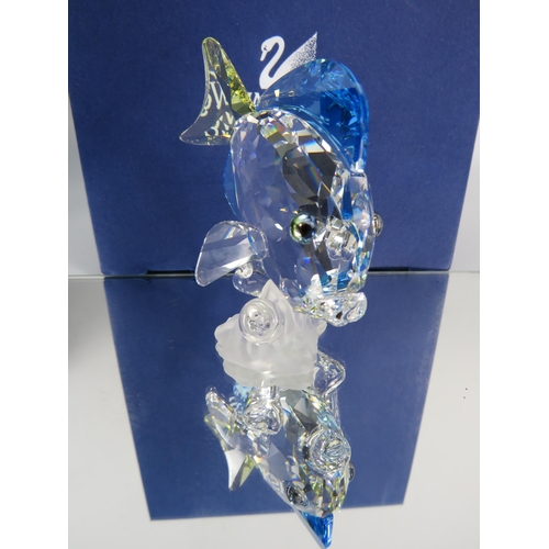 270 - Swarovski crystal Tang fish figurines with box. No 886180