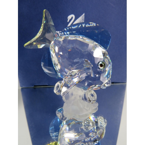 270 - Swarovski crystal Tang fish figurines with box. No 886180