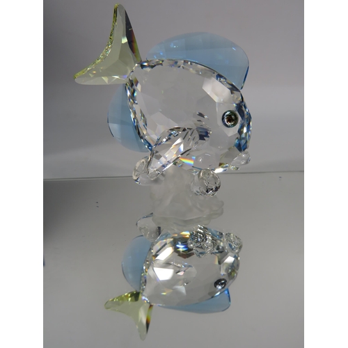 270 - Swarovski crystal Tang fish figurines with box. No 886180