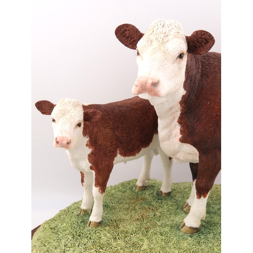 26 - Limited Edition Border Fine Arts Sculpture Hereford Cow and Calf no 610 of 950 with cert and box.