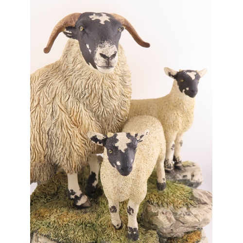35 - Limited edition Border fine arts sculpture 'A Ewe and a pair' B0238, No 478/1750 comes with cert and... 