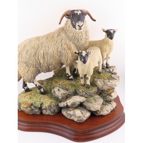 35 - Limited edition Border fine arts sculpture 'A Ewe and a pair' B0238, No 478/1750 comes with cert and... 