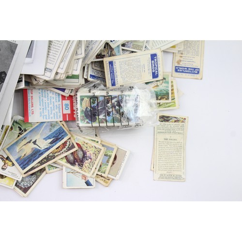327 - Cigarette Cards Job Lot Tobacciana Collectables Wild Birds Britain Railway  570441