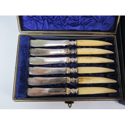 493 - Assorted boxed cutlery sets, including bone-handled and silver-plated examples.