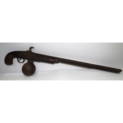 507a - Antique Air Rifle ?, circa 19th century, with extended barrel and spherical priming chamber beneath,... 