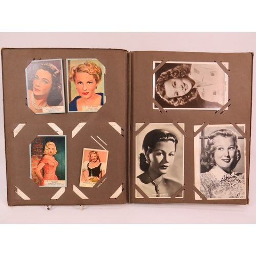 Lot 275       