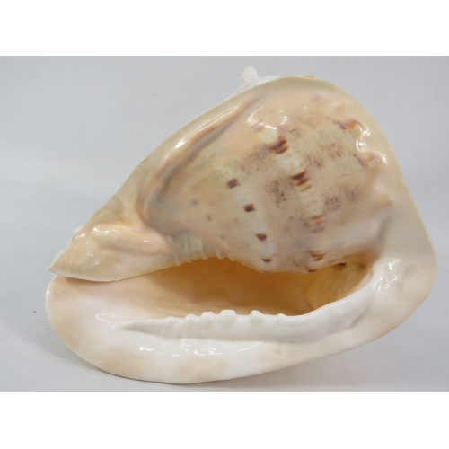 240 - Large shell ornament approx 8 inches tall, 8 inches wide and 10 inches long with two decorative plat... 