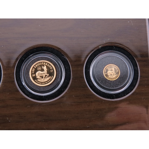 107 - A 2017 South Africa 50th Anniversary Gold Proof Krugerrand four coin collection, comprising quarter ... 