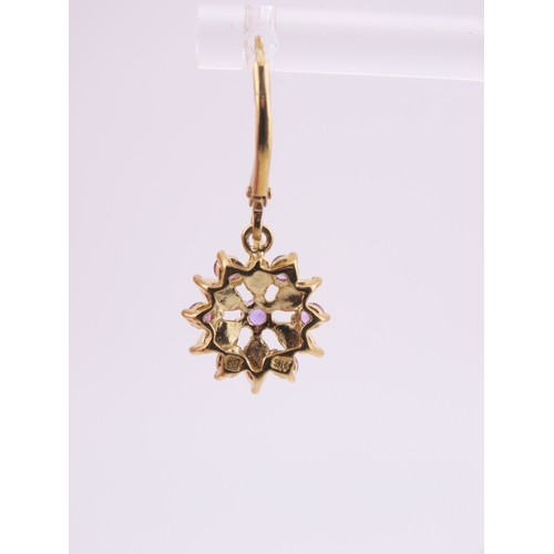 174 - Pair of 9ct Gold Amethyst and Opal Earrings. Each of floral cluster design set with alternating amet... 