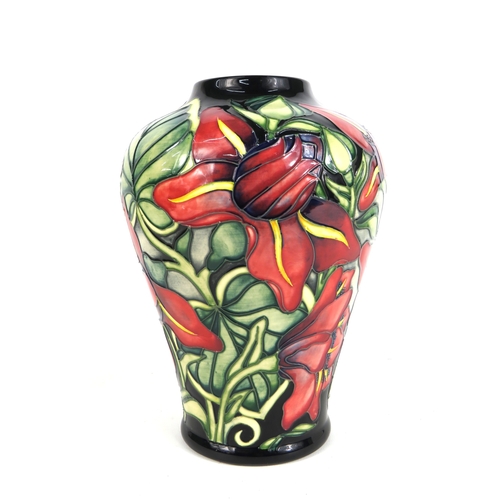 75 - Moorcroft vase  Palmata design with red floral design on black ground - 23cm tall