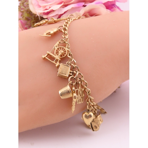 198 - A 9 carat gold charm bracelet, fitted with a padlock clasp and suspending seventeen assorted gold ch... 