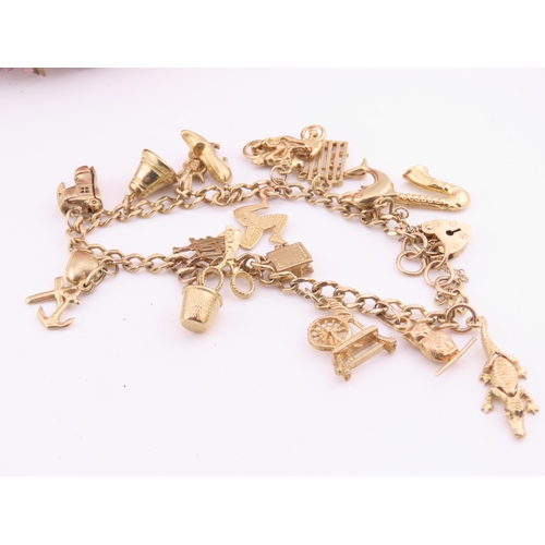 198 - A 9 carat gold charm bracelet, fitted with a padlock clasp and suspending seventeen assorted gold ch... 